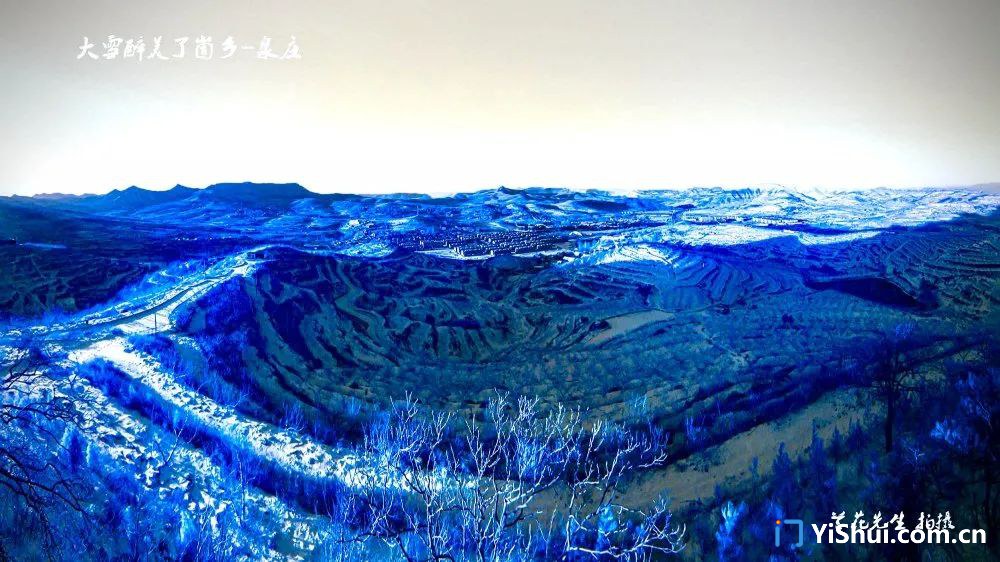2020111308382163870972_2304_4096.jpg